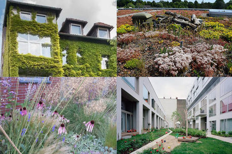 Bildzusammenstellung Fassaden- & Dachbegrünung sowie Gartenanlage zwischen Häusern